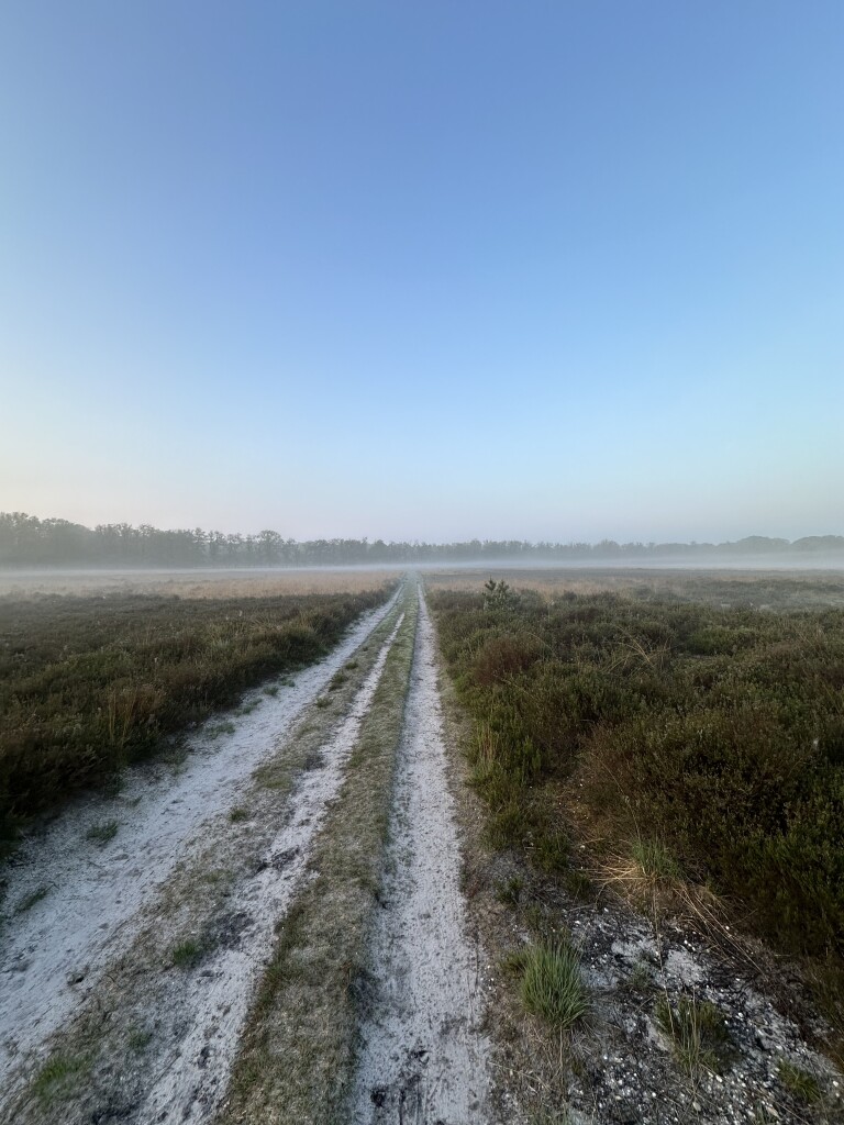 Hoenderloo - Loenen · Veluwe Zwerfpad etappe 15