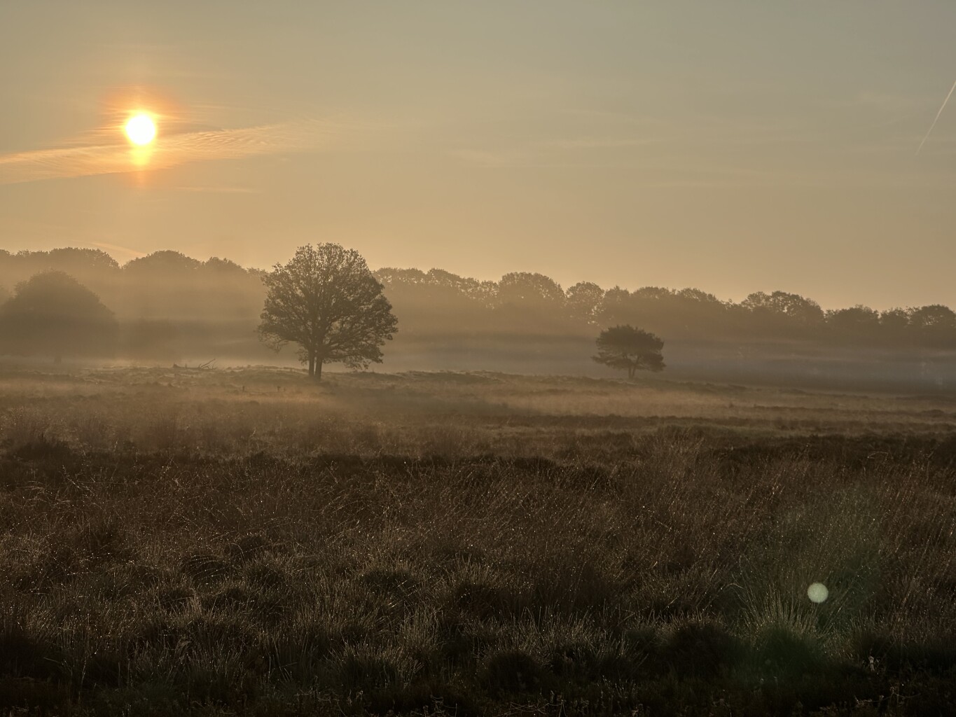 Hoenderloo - Loenen · Veluwe Zwerfpad etappe 15