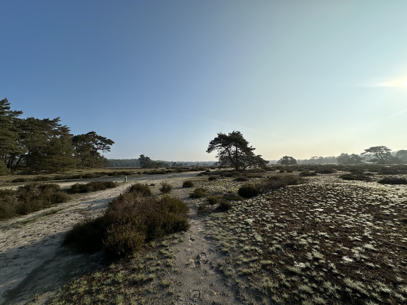 Hoenderloo - Loenen · Veluwe Zwerfpad etappe 15