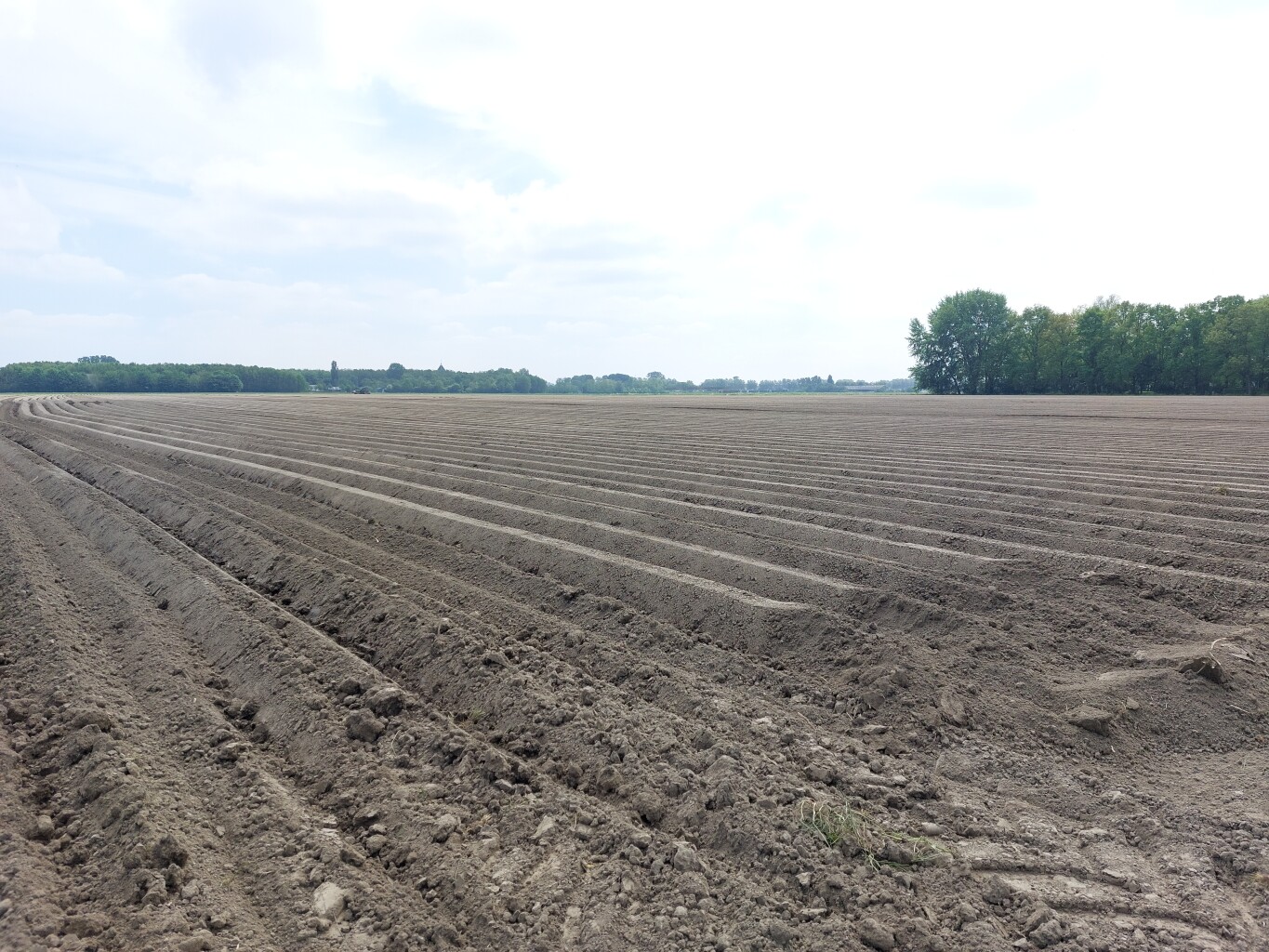 Doodstil - Appingedam · Nederlands Kustpad 3 etappe 12