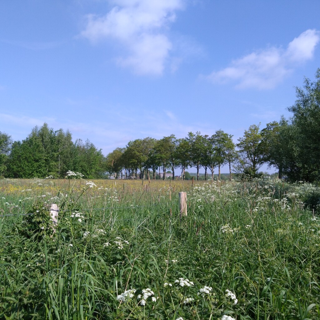 Wijk bij Duurstede - Odijk · Gelukkigerwijspad etappe 4
