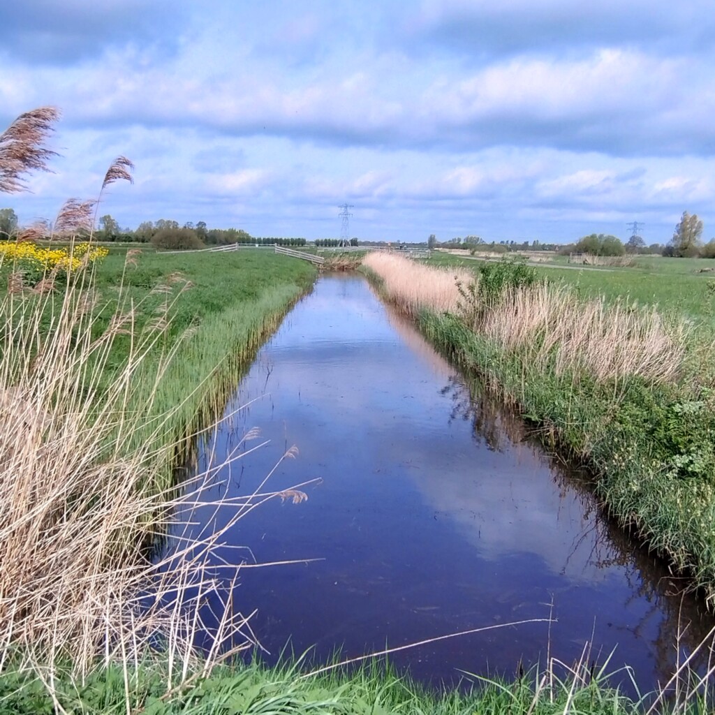 Het ‘smûke’ land van Friesland