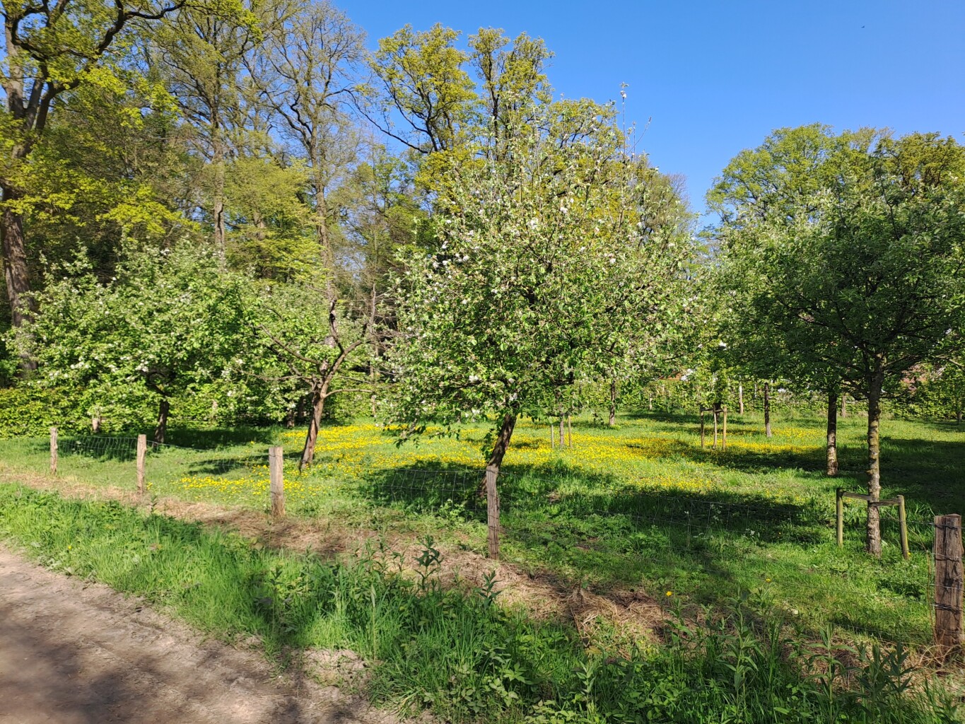 Winterswijk - Bredevoort · Scholtenpad etappe 1
