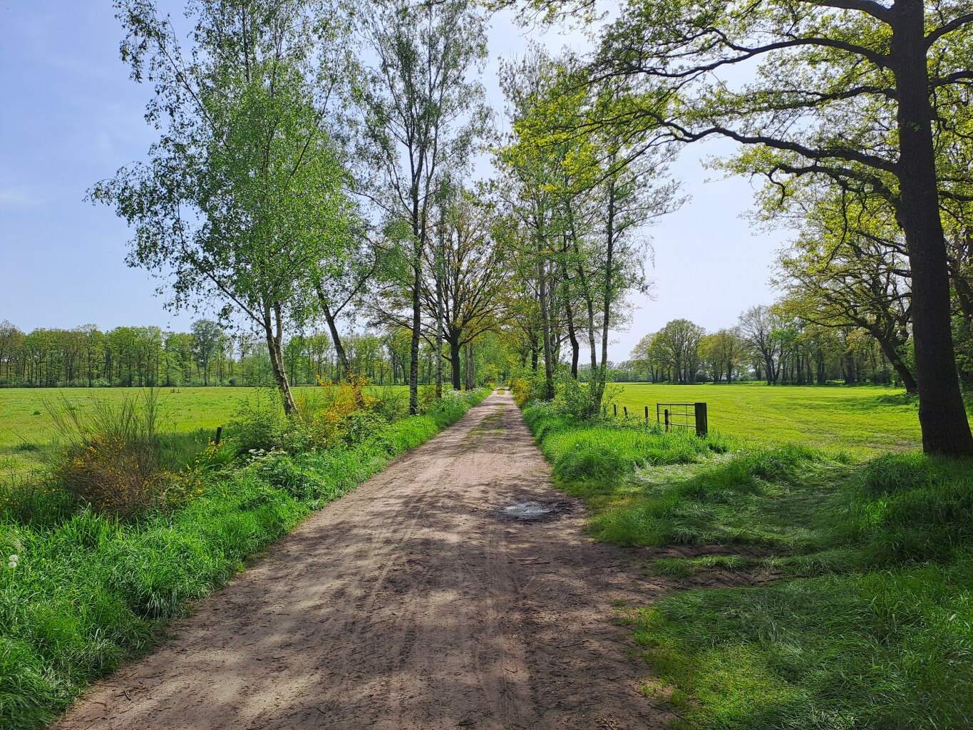 Lievelde - Beurzerbeekm 't Hilgelo · Scholtenpad etappe 3