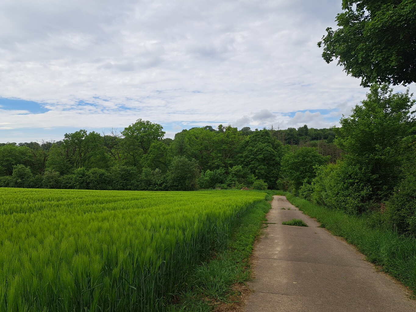 Wasserbillig - Grevenmacher · GR5 etappe 29