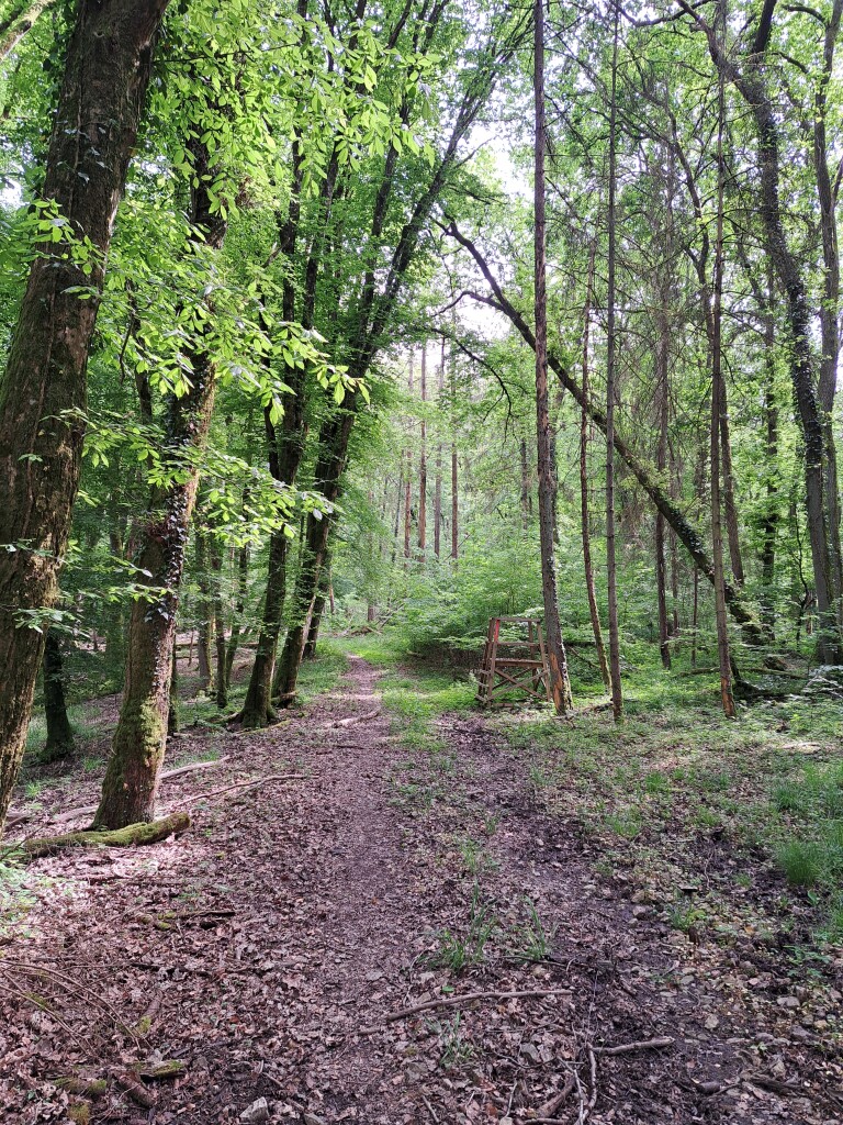 Echternach - Wasserbillig · GR5 etappe 28