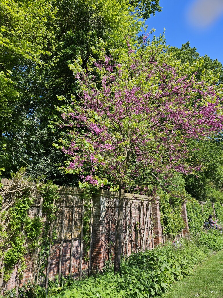 Wandelroute Gooilust, vlak bij Hilversum
