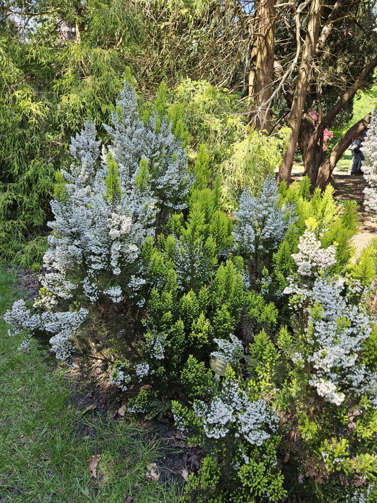 Wandelroute Gooilust, vlak bij Hilversum