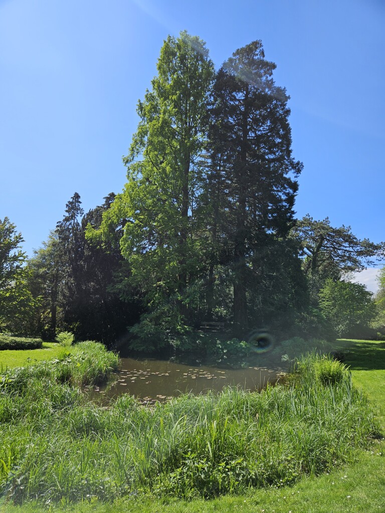 Wandelroute Gooilust, vlak bij Hilversum
