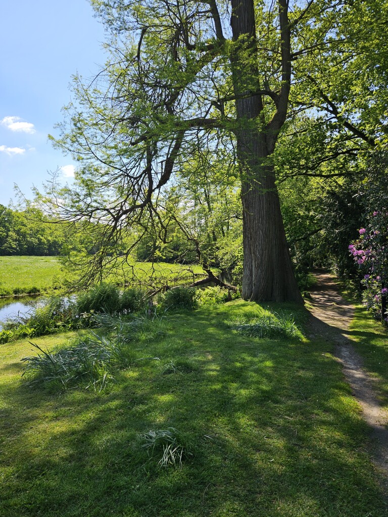 Wandelroute Jagtlust, vlak bij Hilversum