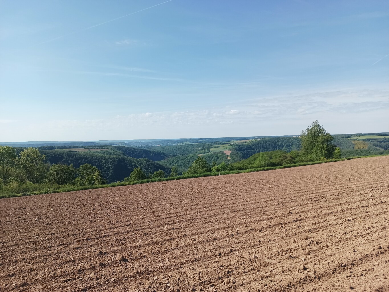 Escapardenne Lee Trail