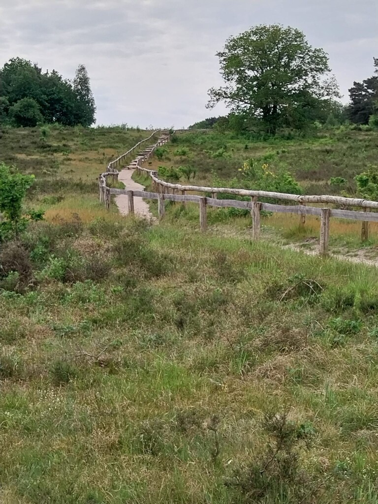 Havelte - Steenwijk - Giethoorn · Stellingenpad etappe 3