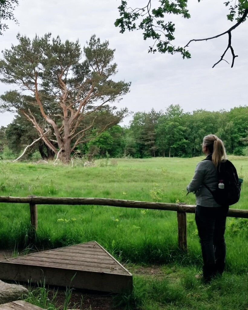 Havelte - Steenwijk - Giethoorn · Stellingenpad etappe 3