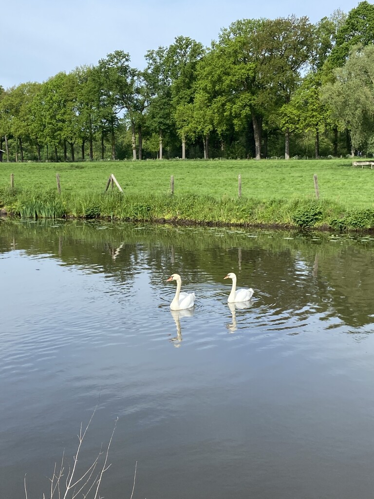 Fort bij Vechten - Werkhoven · Romeinse Limespad etappe 9