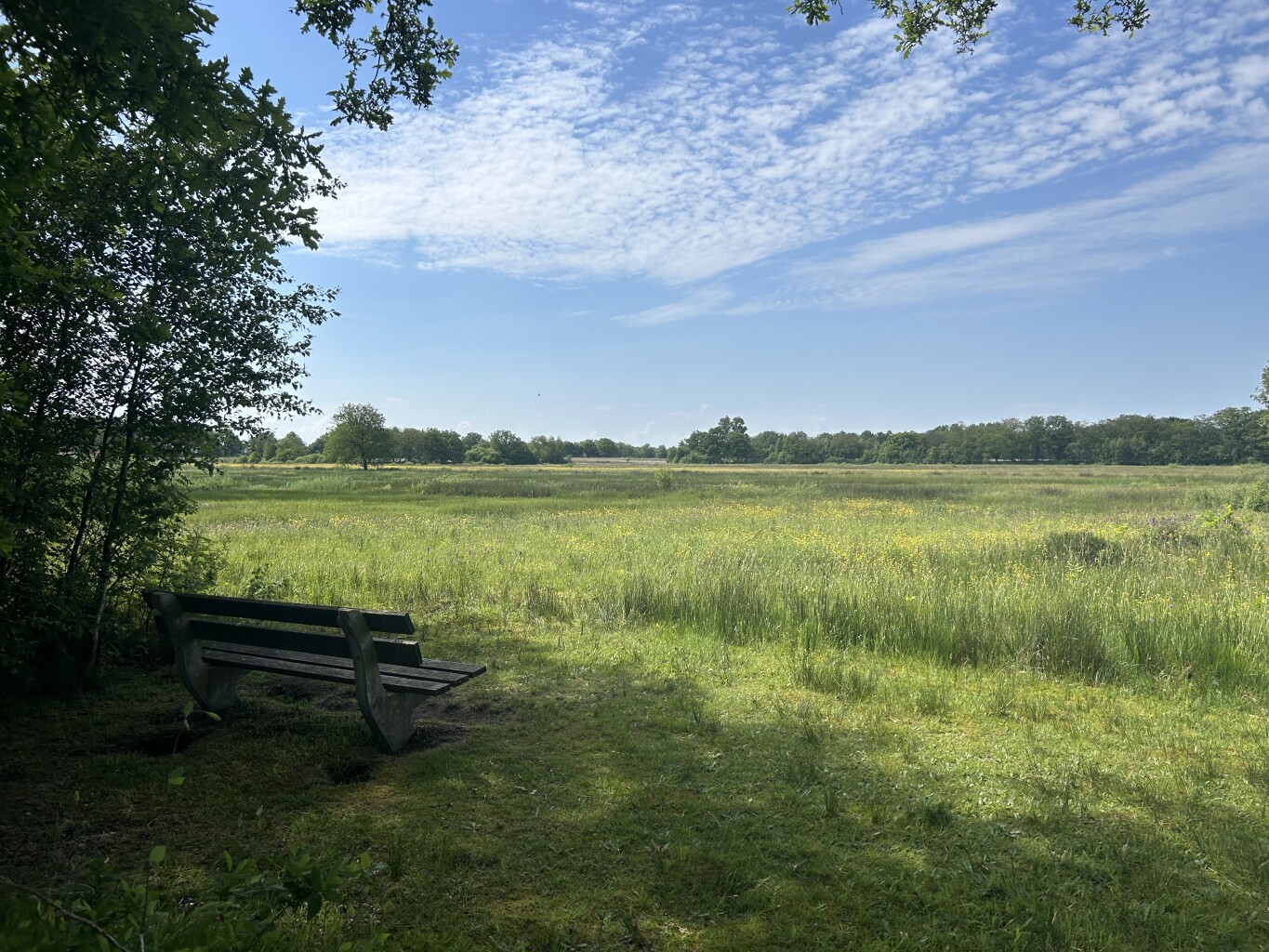 Ureterp - Beetsterzwaag · Friese Woudenpad etappe 7
