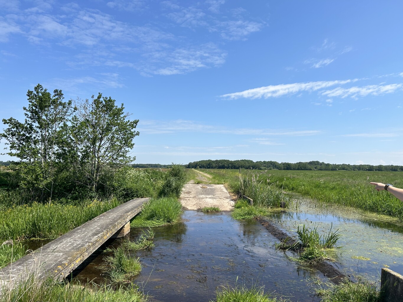 Ureterp - Beetsterzwaag · Friese Woudenpad etappe 7