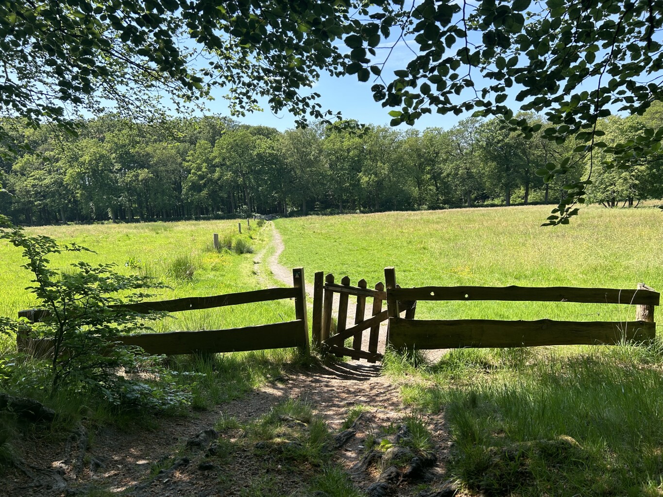 Ureterp - Beetsterzwaag · Friese Woudenpad etappe 7