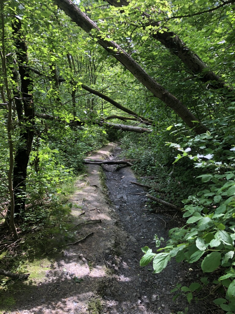 Eygelshoven - Vaals · Dutch Mountain Trail etappe 1