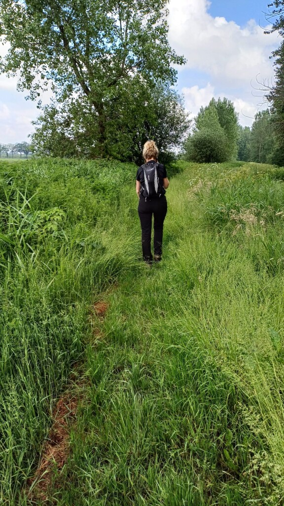 Veulen - Griendstveen · Petranpad etappe 4