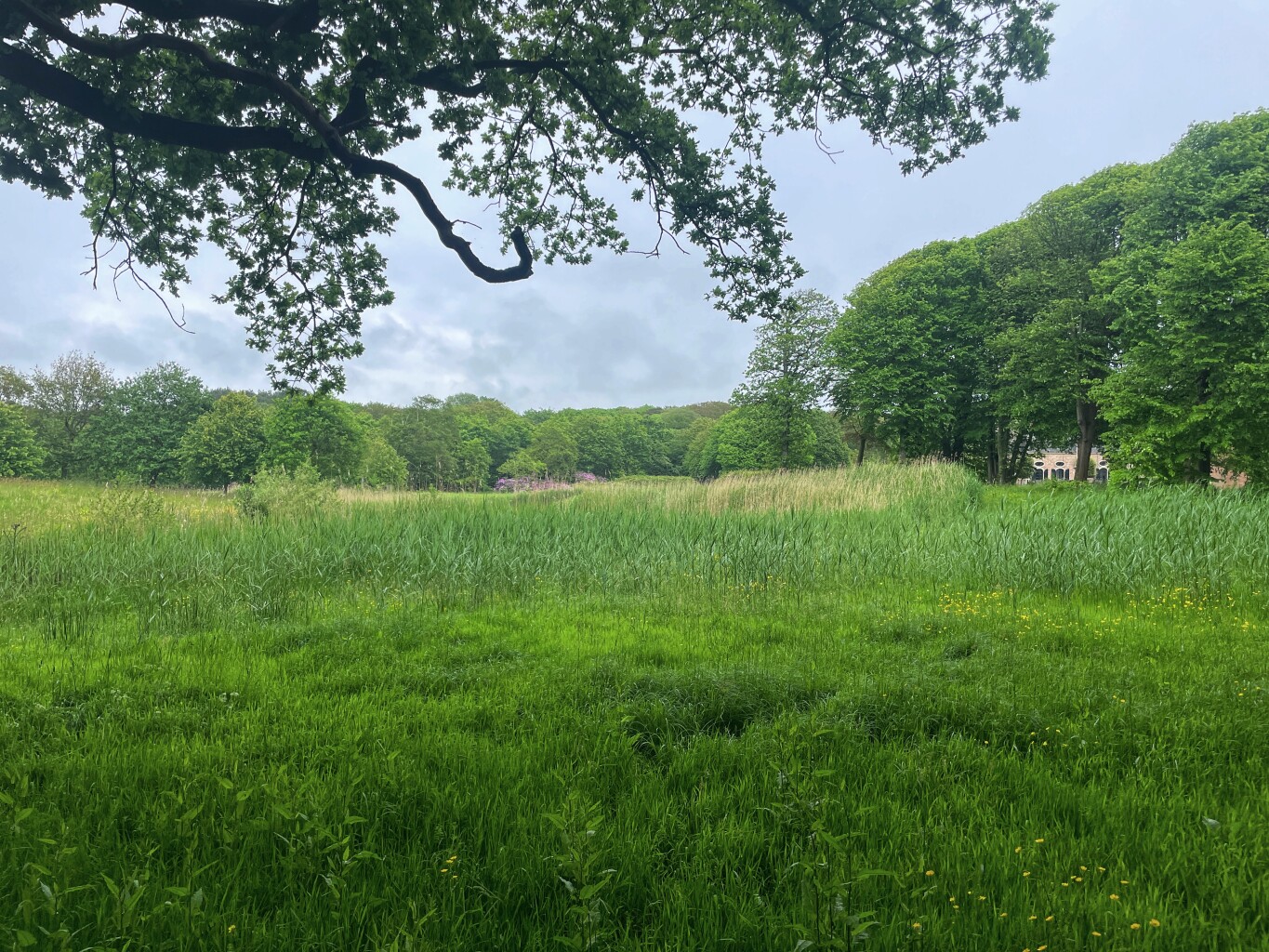 Zoutelande naar Oostkapelle- "?" · NederRandpad etappe 57