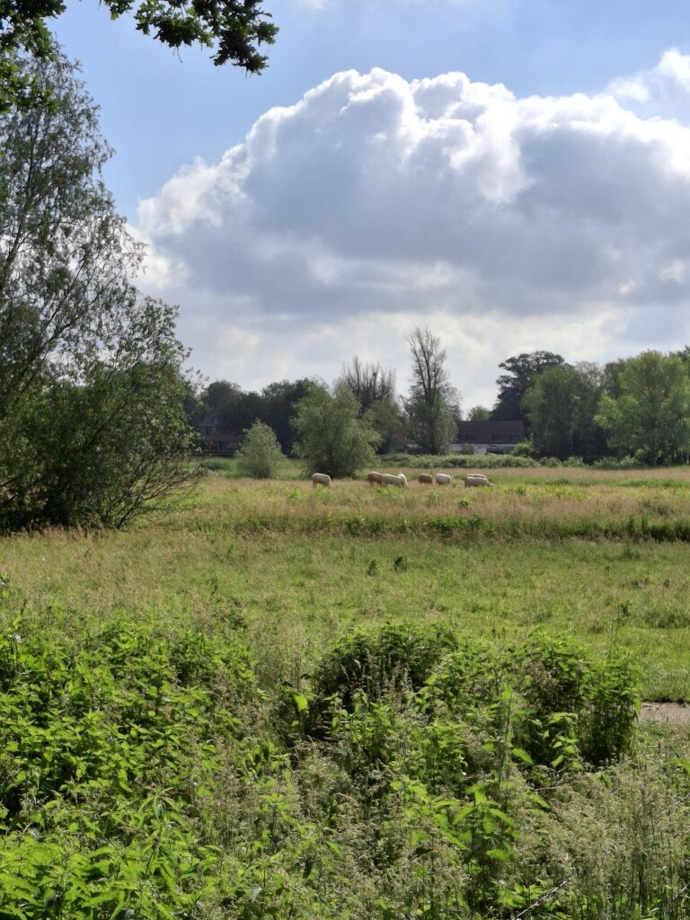 Naar de jachtvelden van de koning in het Mastbos