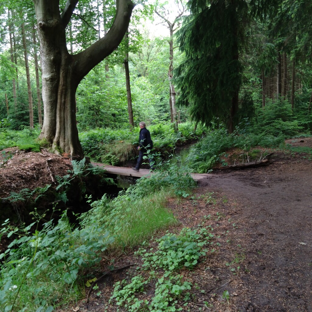 Rondje Drachten · Bonifatius Kloosterpad etappe 20