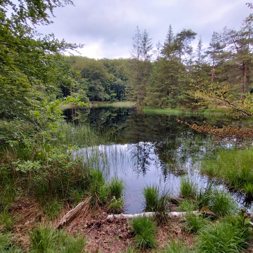 Rondje Drachten · Bonifatius Kloosterpad etappe 20