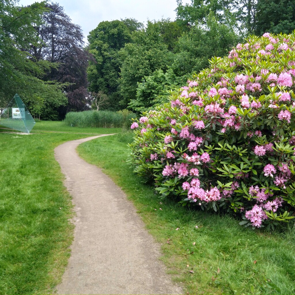 Rondje Drachten · Bonifatius Kloosterpad etappe 20