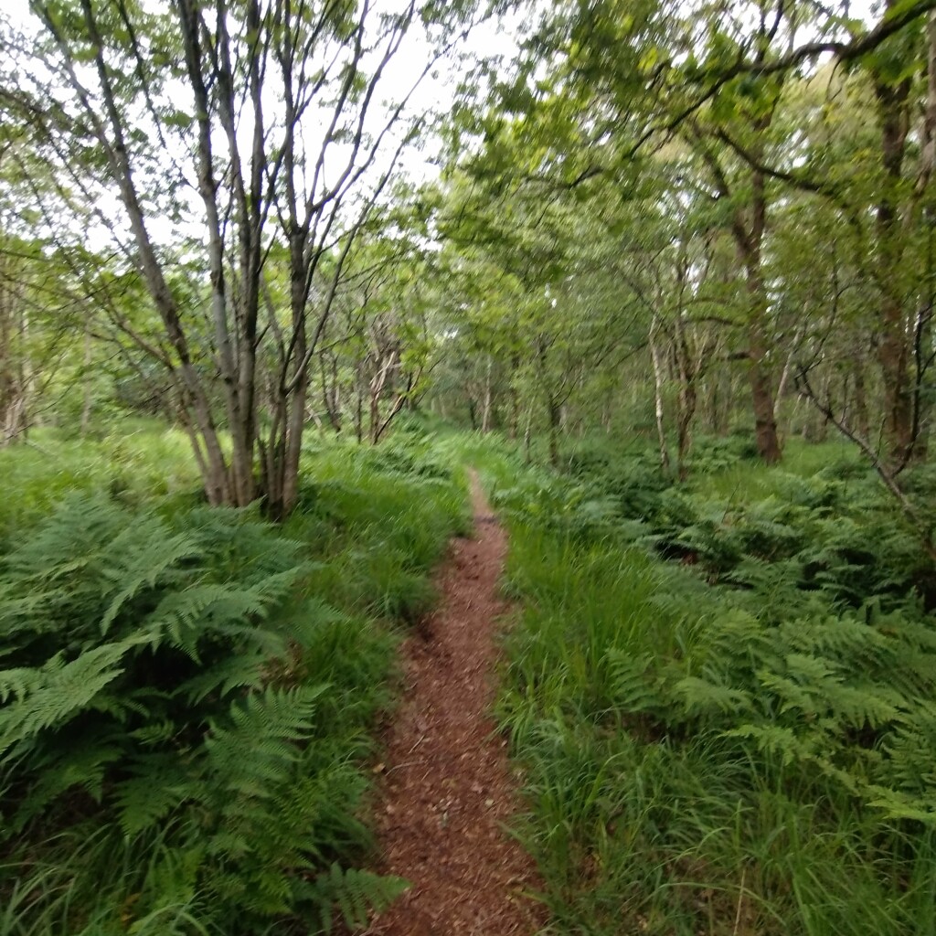 Bonifatius Kloosterpad