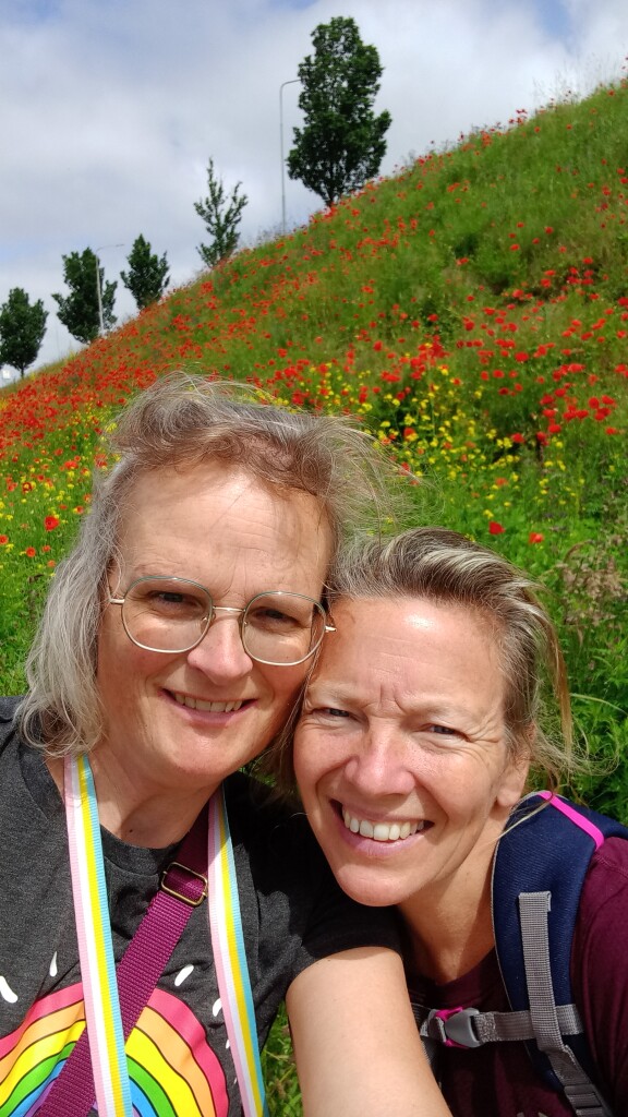 Haarlemmerliedetocht (blauw)