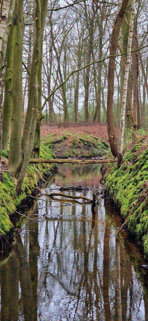 Klompenpad: Heyrderpad