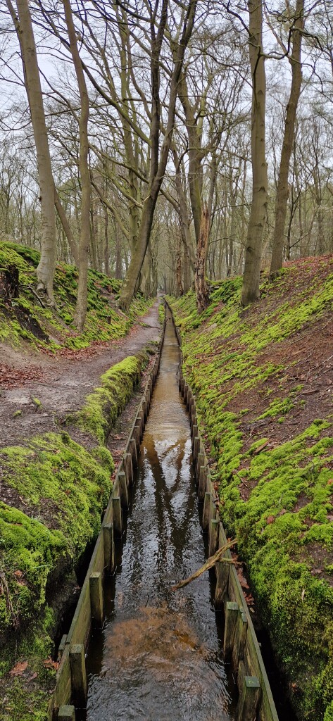 Klompenpad: Heyrderpad