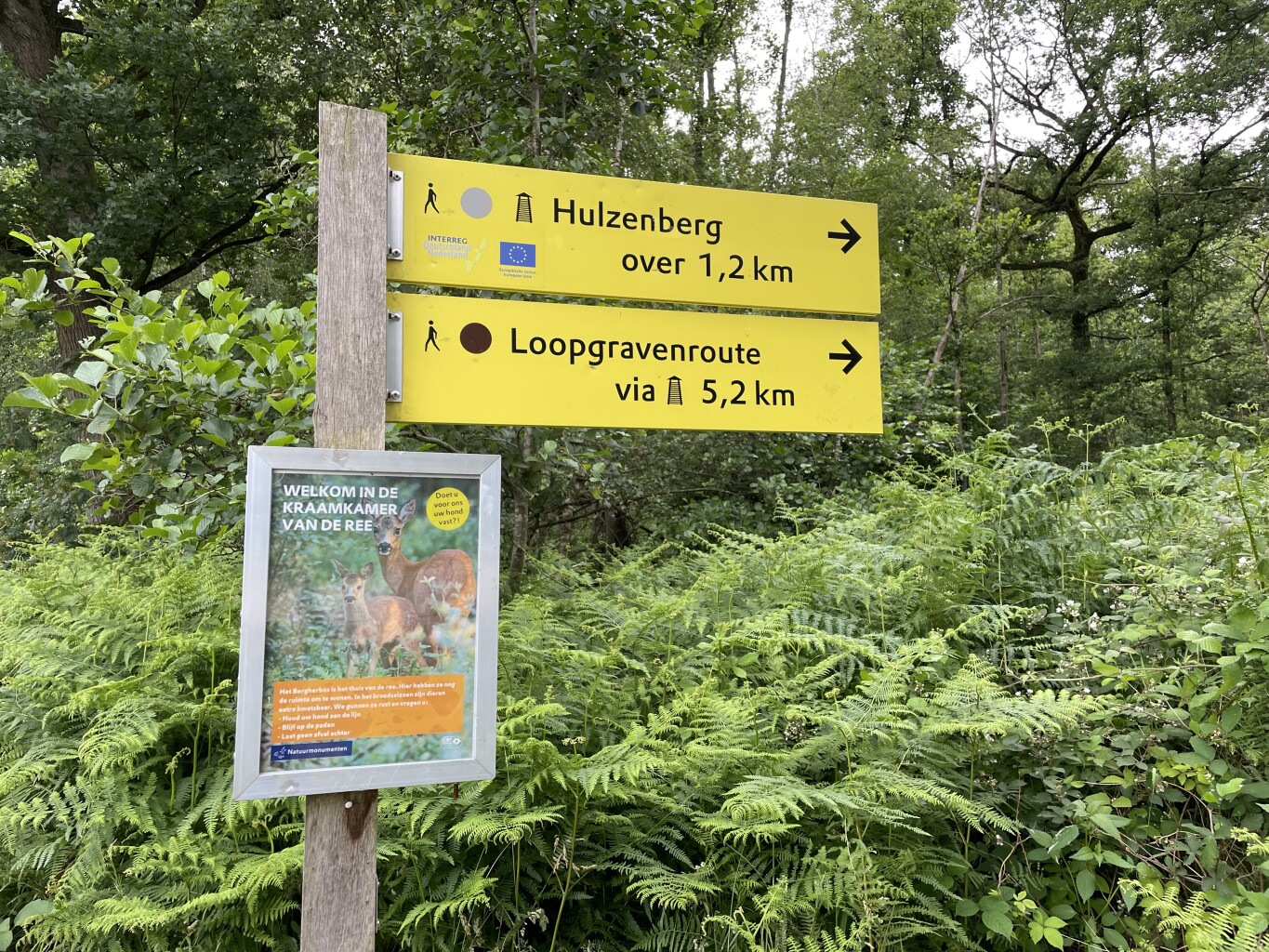Langs bunkers en loopgraven