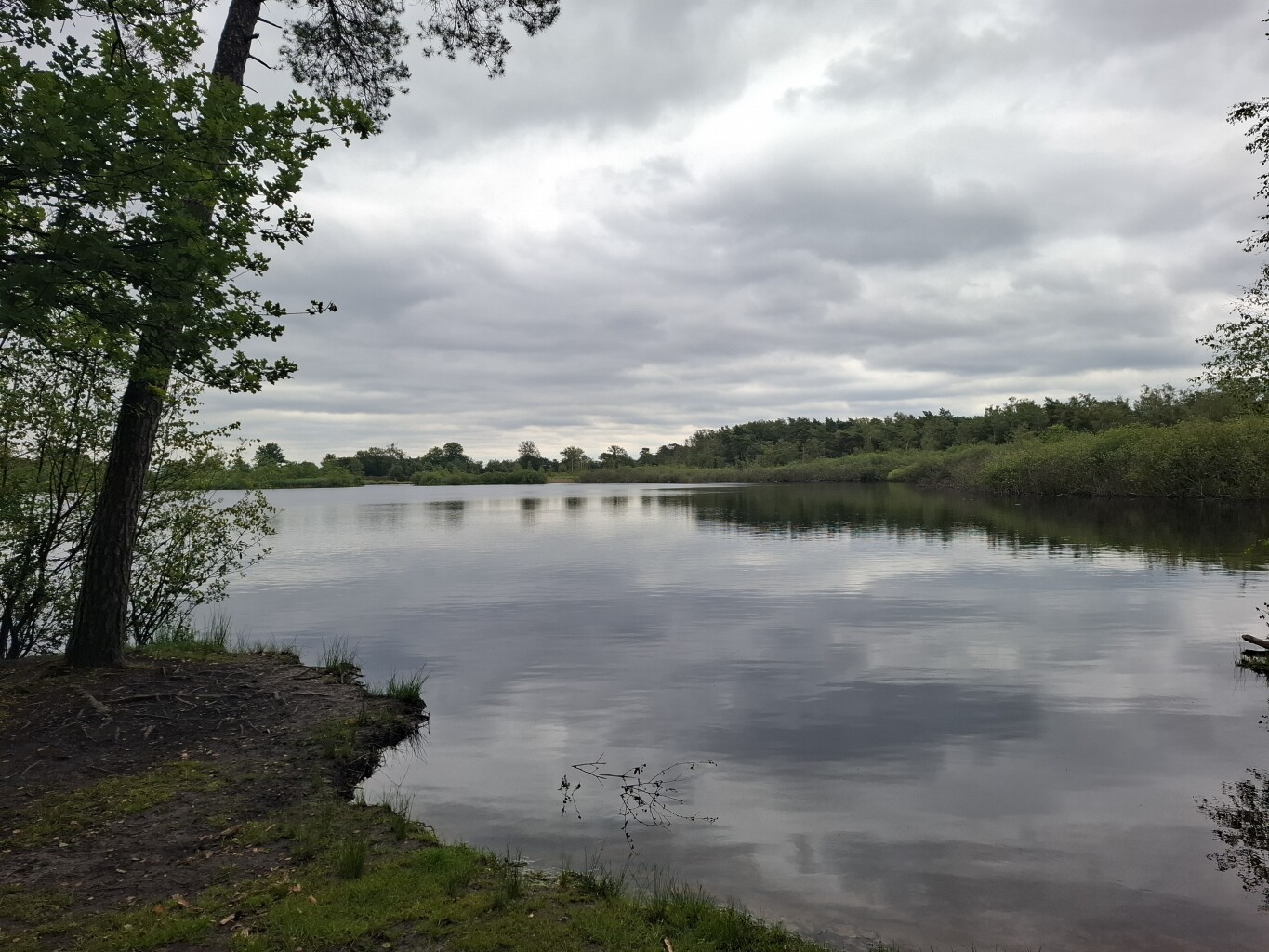 Liempde - Oisterwijk · Roots Natuurpad etappe 30