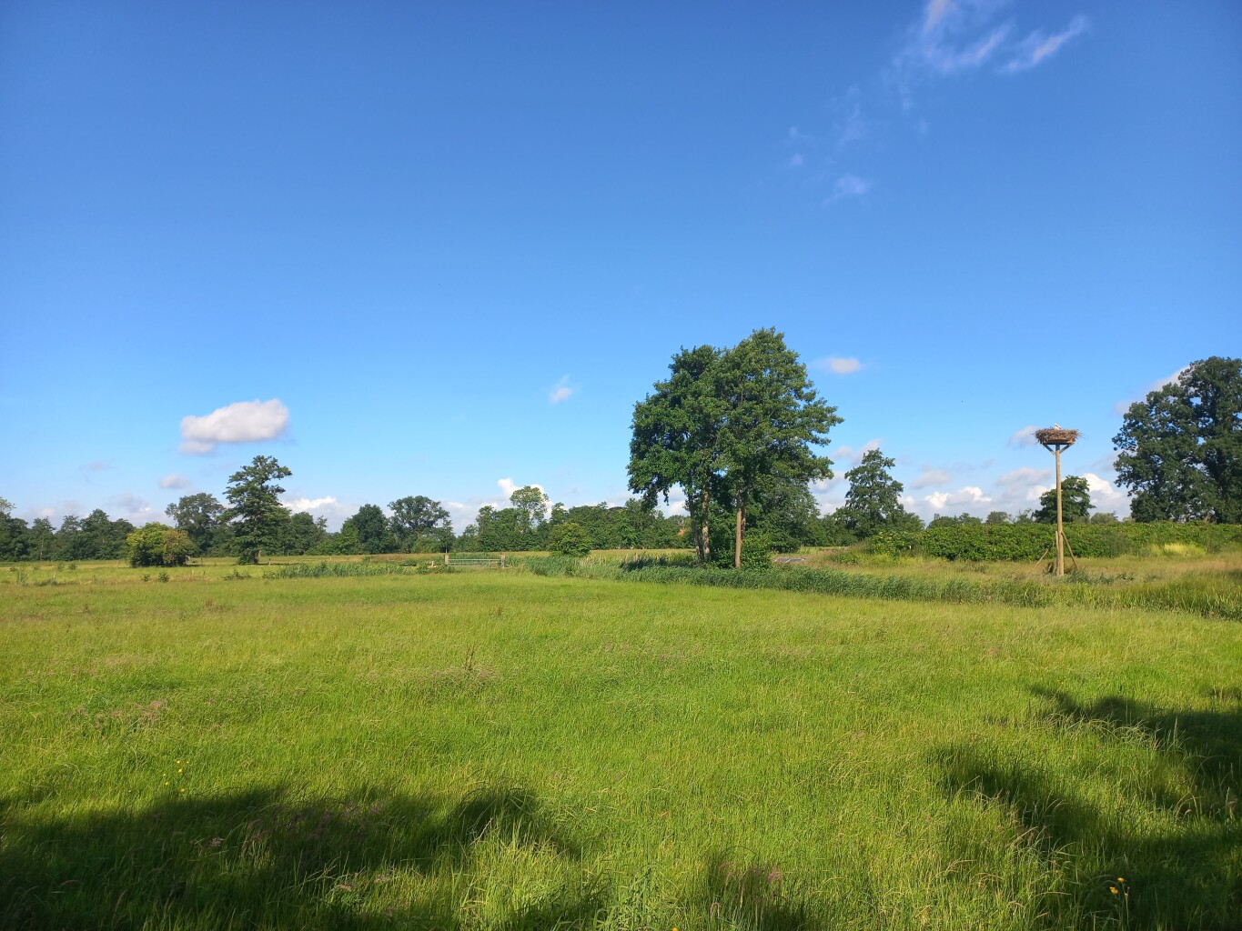 Nuis - Leek · Groninger Borgenpad etappe 1