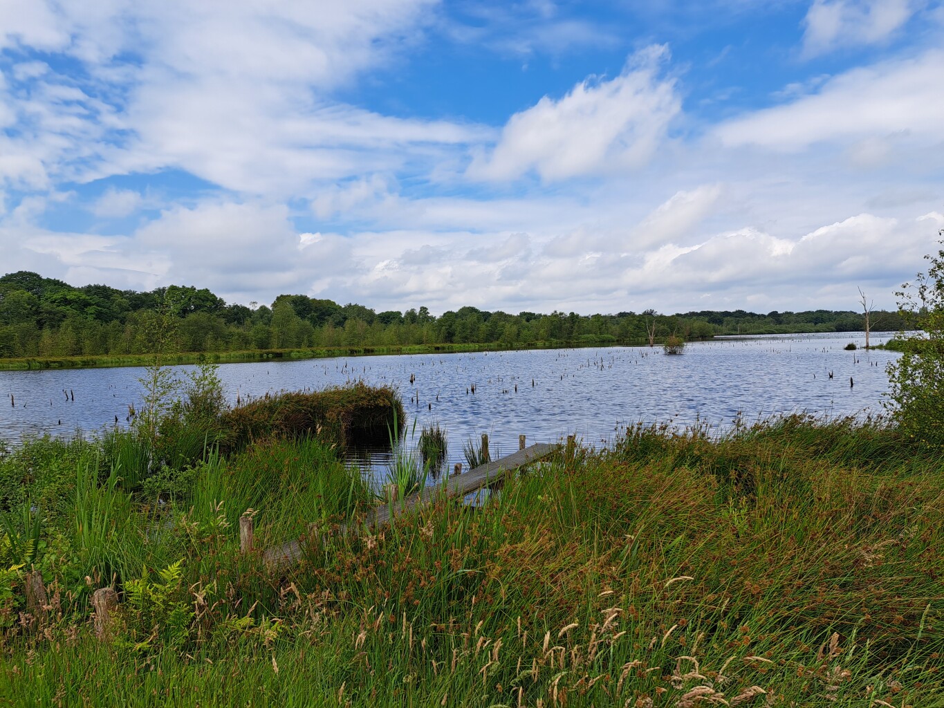 Griendtsveen - Mariapeel · Petranpad etappe 5