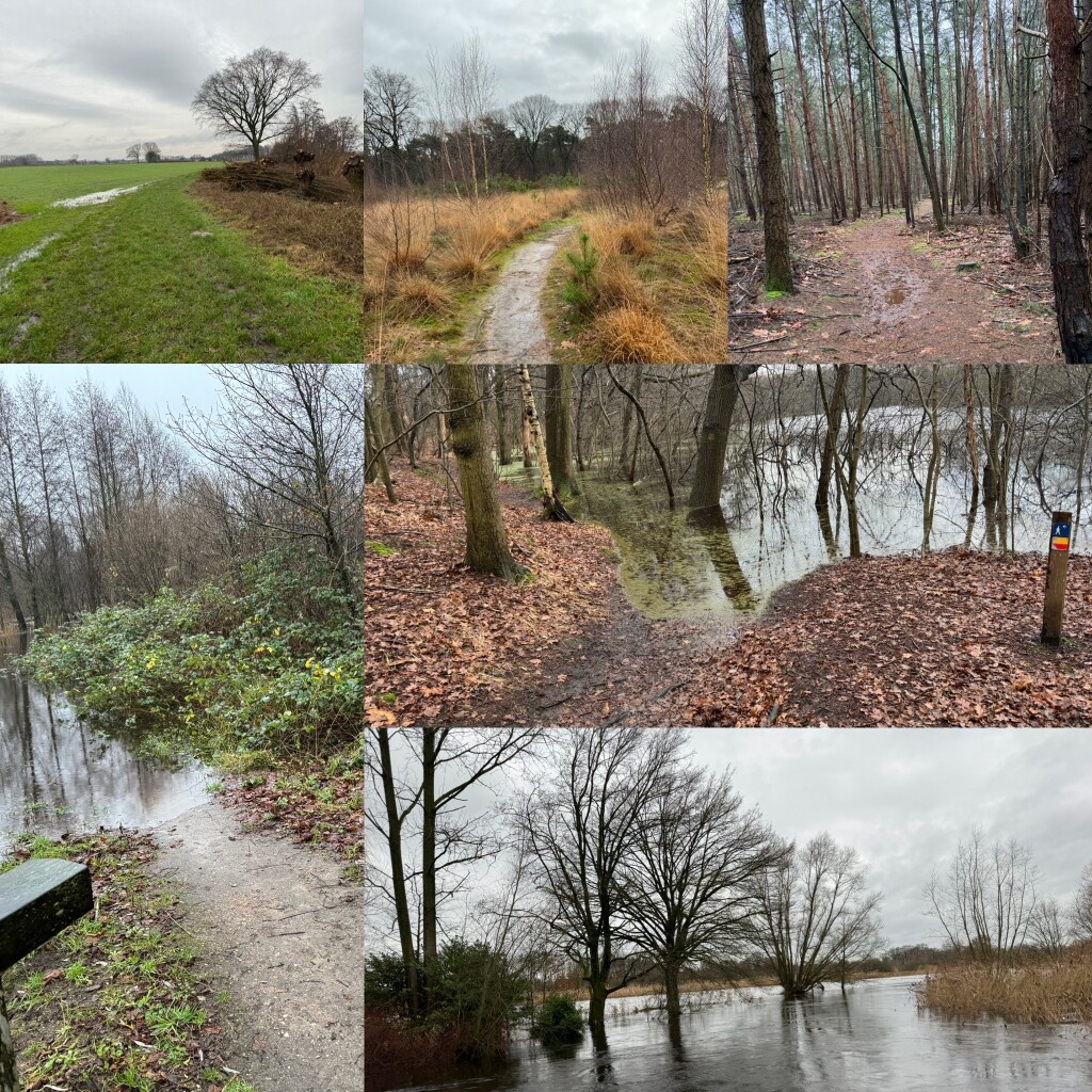 Sint-Oedenrode - Sonse Brug · Brabants Vennenpad etappe 3