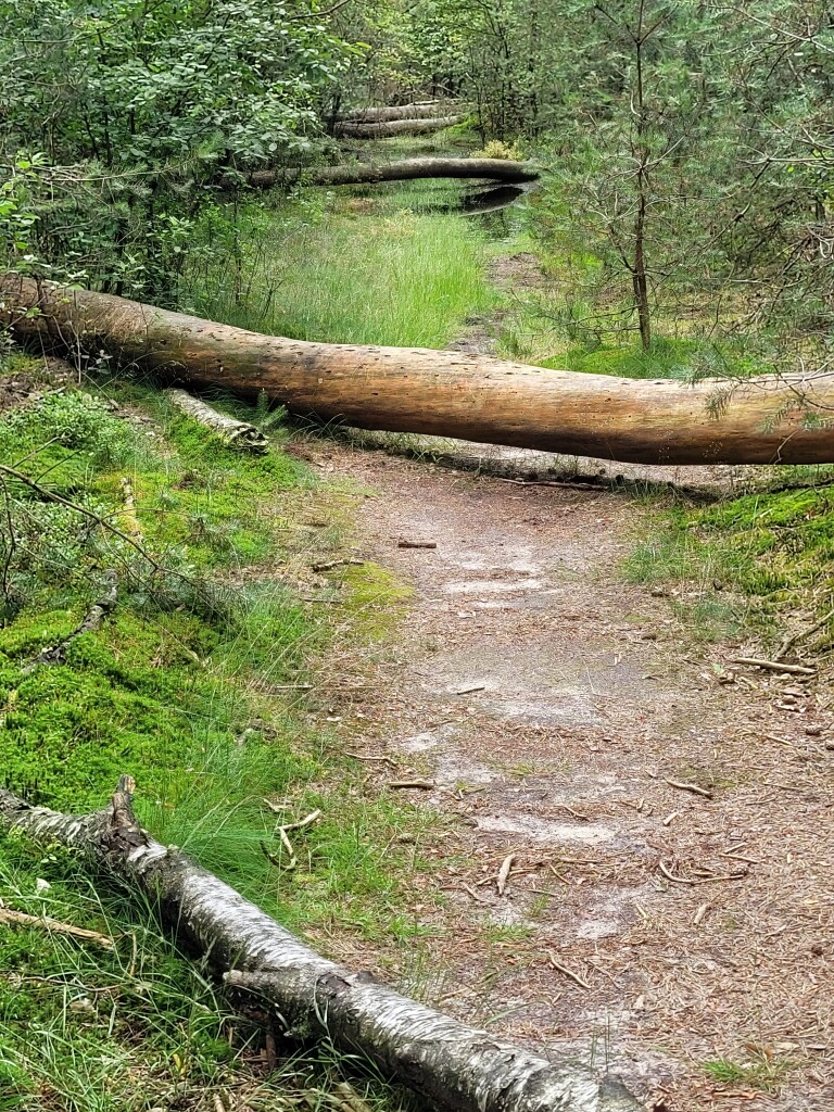 Leusden - Woudenberg · Utrechtse Mountain Trail etappe 2