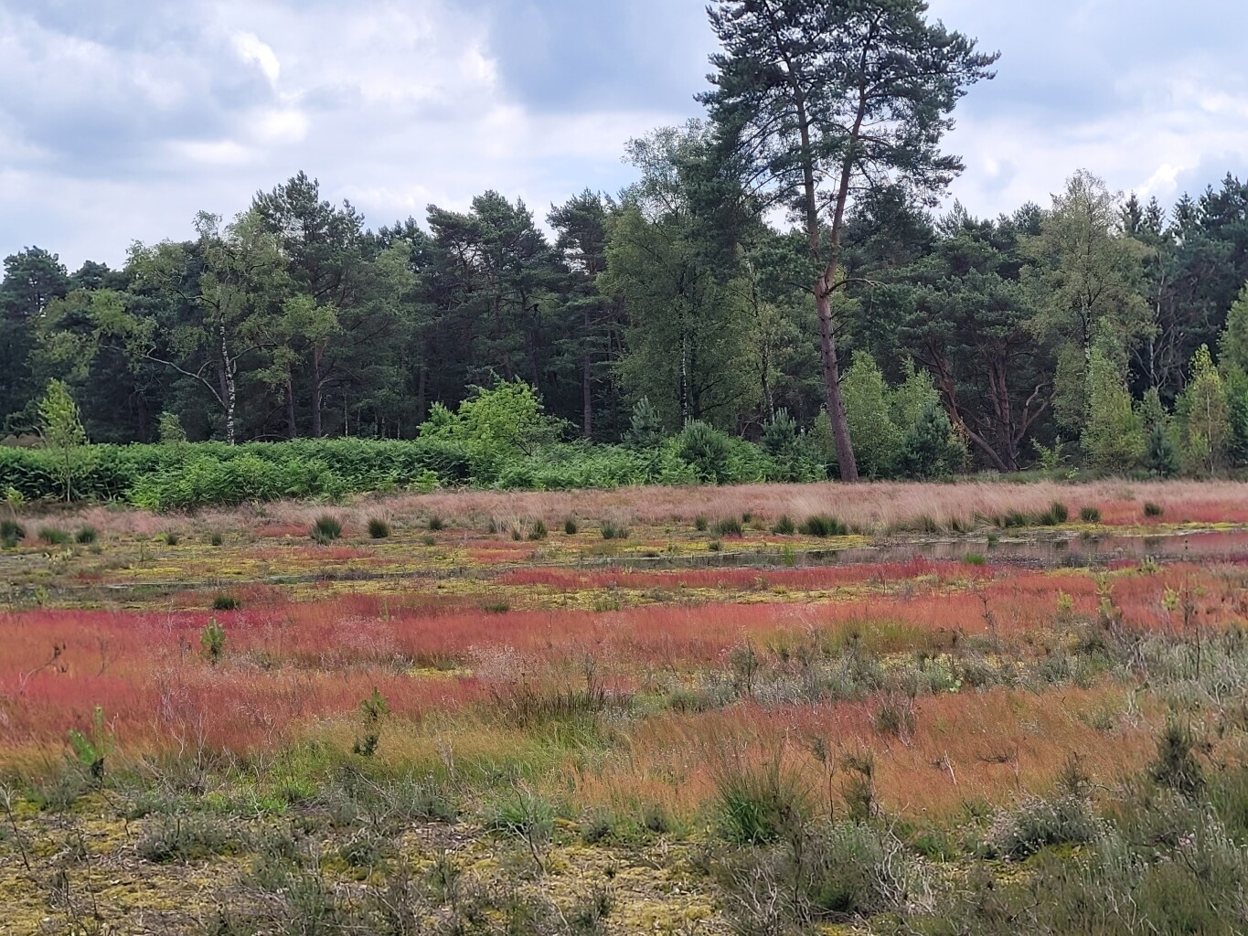 Leusden - Woudenberg · Utrechtse Mountain Trail etappe 2