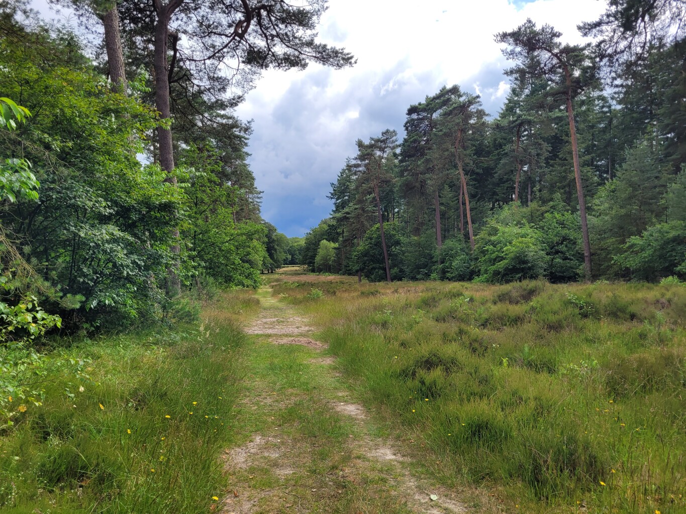 Woudenberg - Maarn · Utrechtse Mountain Trail etappe 3
