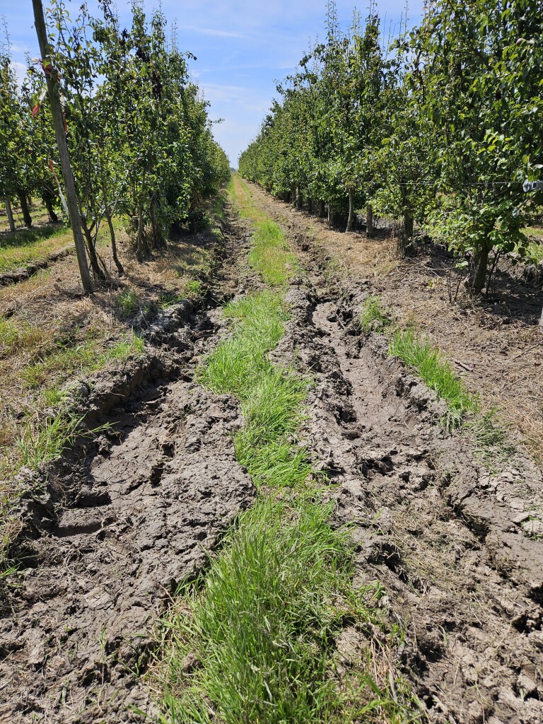 VurenschePolderpad Vuren