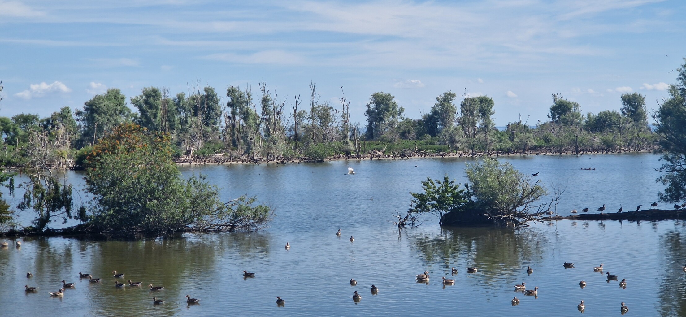 Medemblik - Enkhuizen · Zuiderzeepad etappe 27