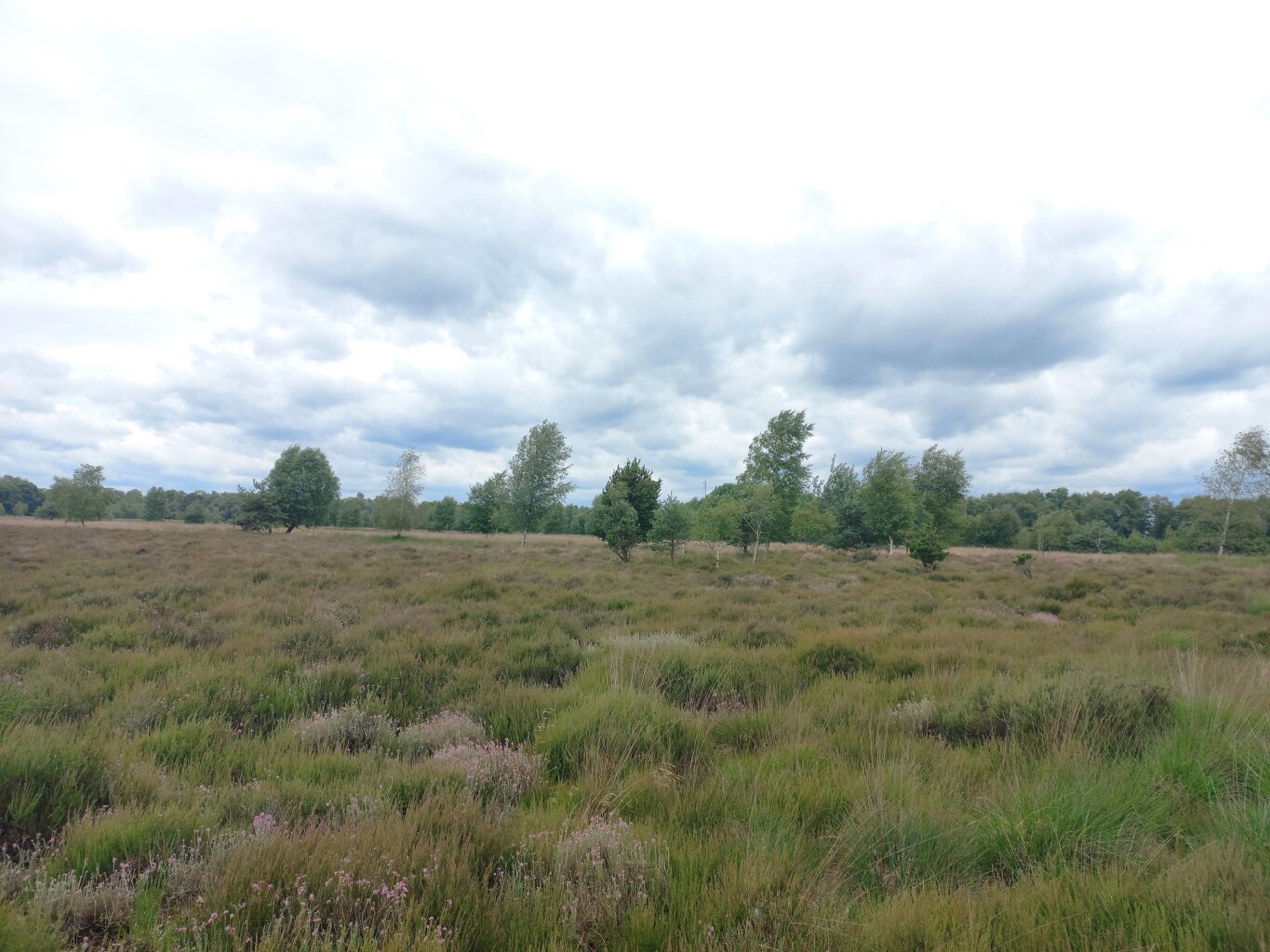 Odoornerdennen - Emmen · Drenthepad etappe 14