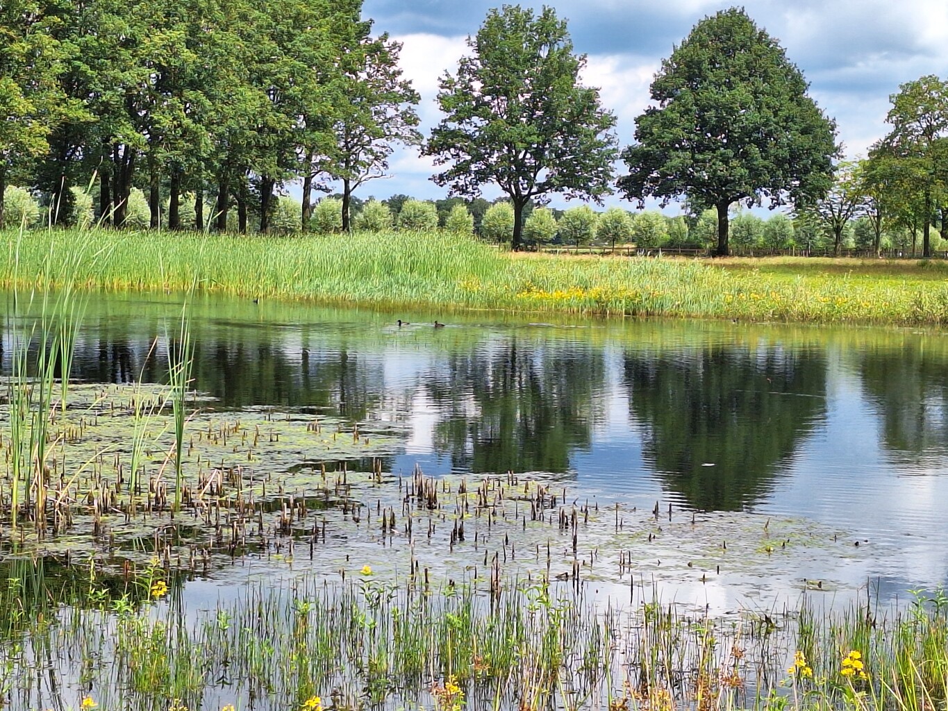 Hengelo Gld - Halle · Ludgerpad etappe 2