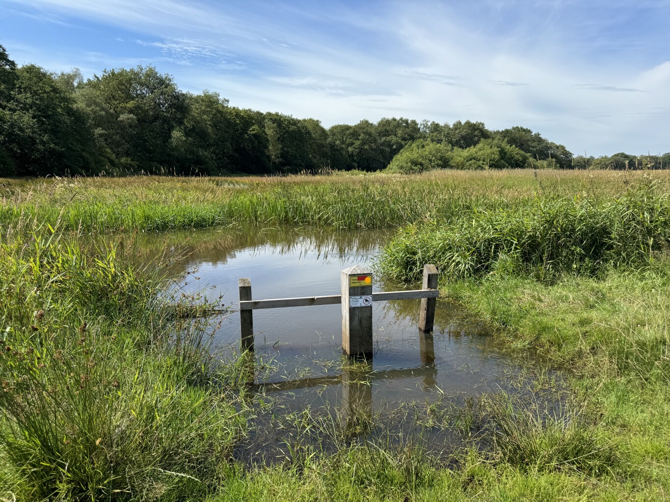 Rapunzels bij de Drentsche Aa