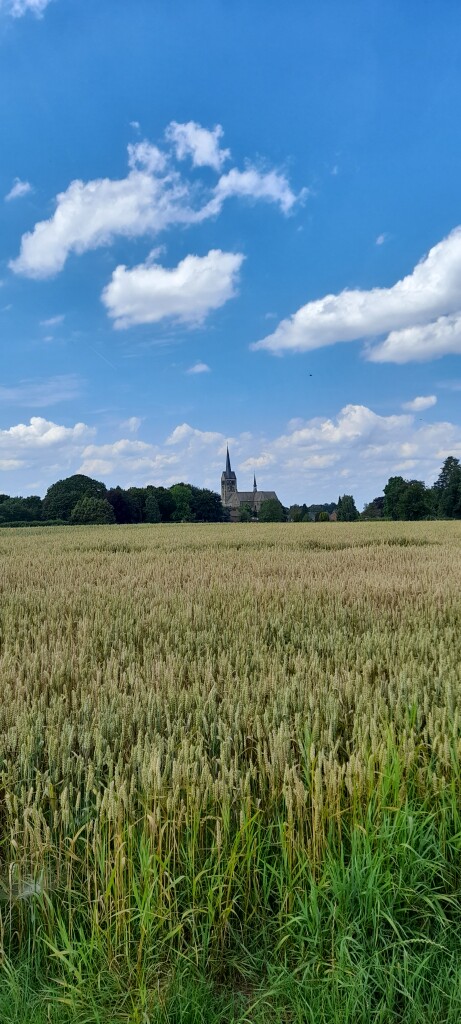 Sittard - Meerssen · Jacobspad etappe 9