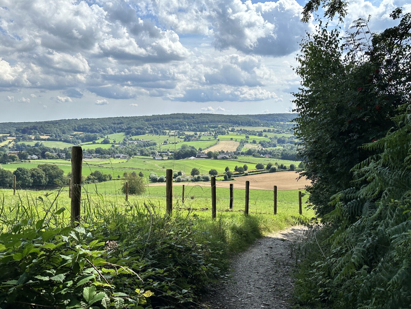 Gulpen - Mheer · Dutch Mountain Trail etappe 3