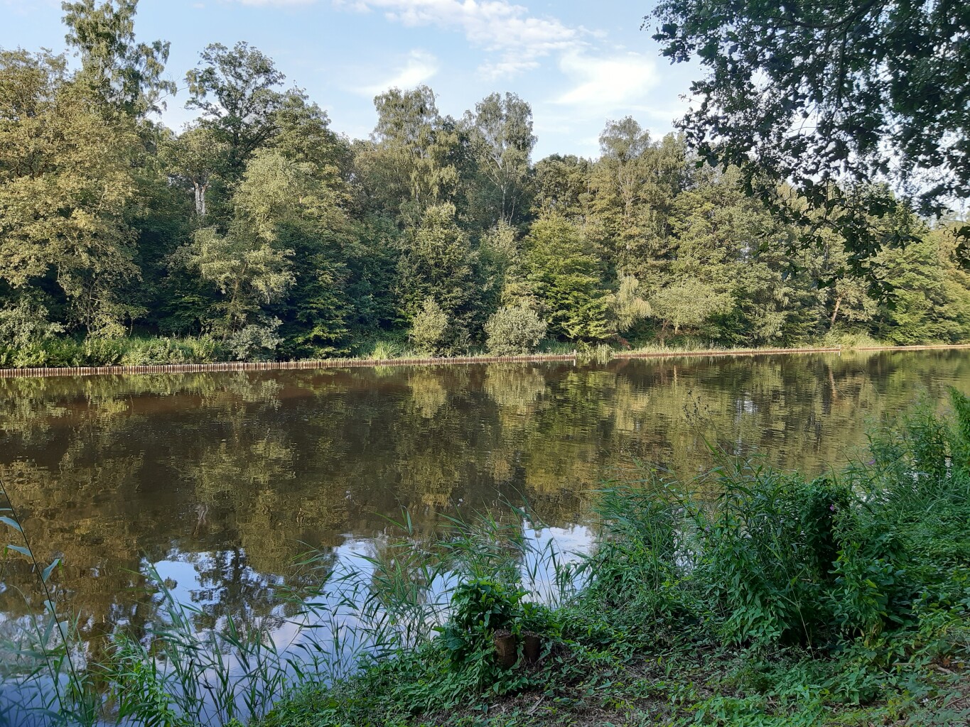 Stienteroute Voorsterbos, bij Kraggenburg