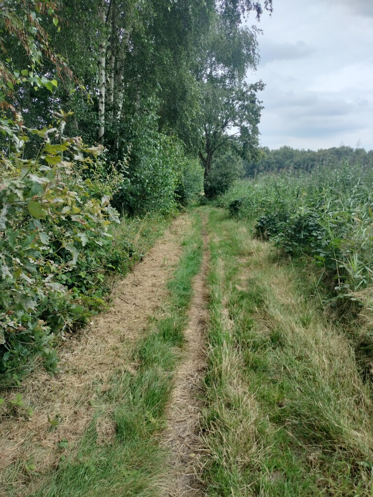 Airbornepad Market Garden - 16 · Airbornepad etappe 16