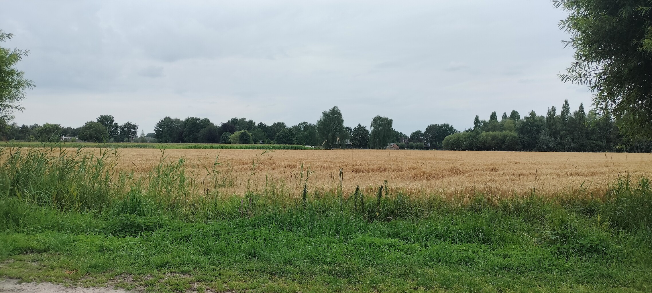 Airbornepad Market Garden - 16 · Airbornepad etappe 16